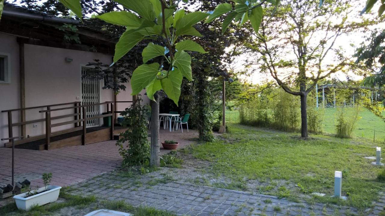 Rose Canine B&B 체제나티코 외부 사진