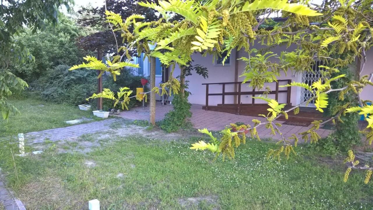 Rose Canine B&B 체제나티코 외부 사진
